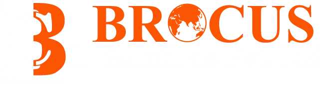 Brocus Real Estate
